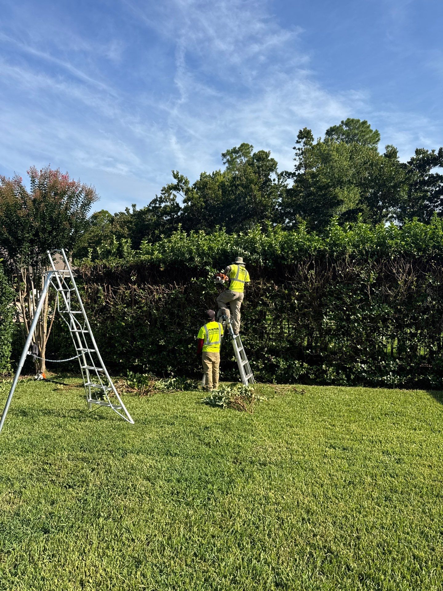 Deerwood Resident | Shrub Trimming by ProGreen Services