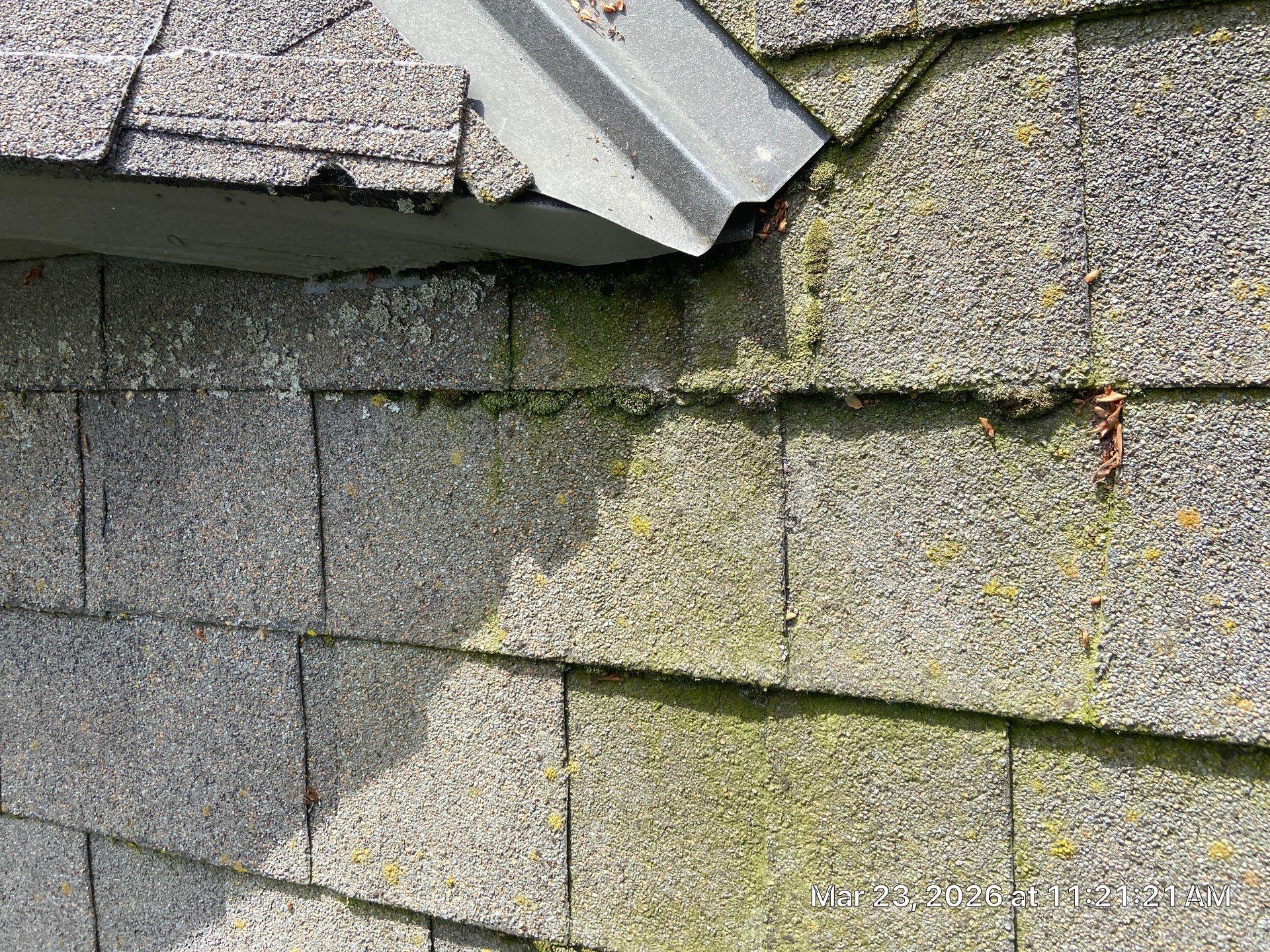 Roof Rejuvenation using Roof Maxx Treatment by Roof Maxx of Folsom