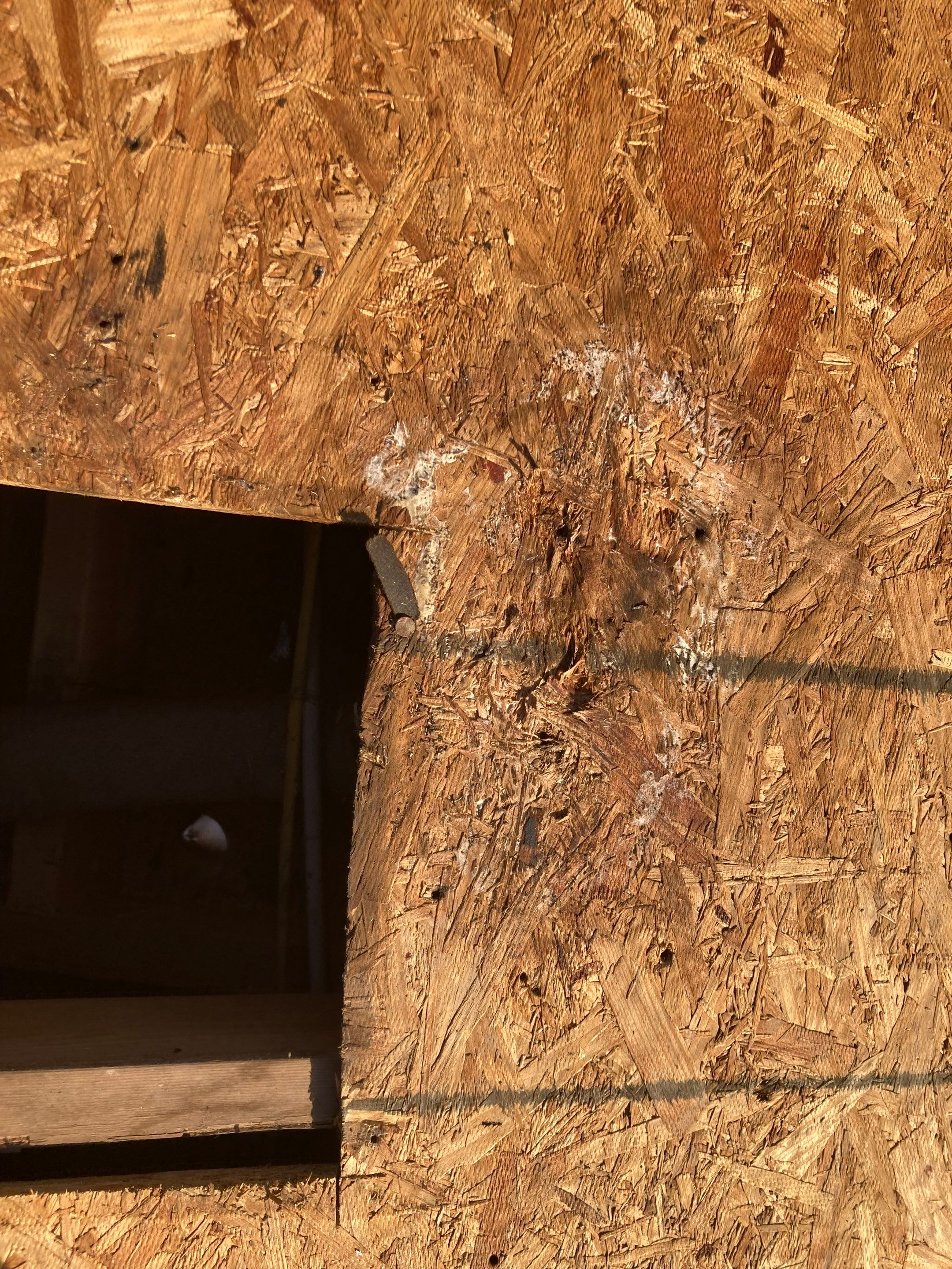 Project in Del Valle by Rhino Roofing and General Contracting, LLC