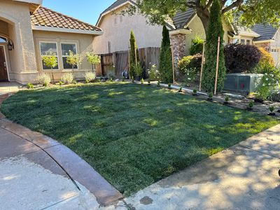 Project in Woodbridge