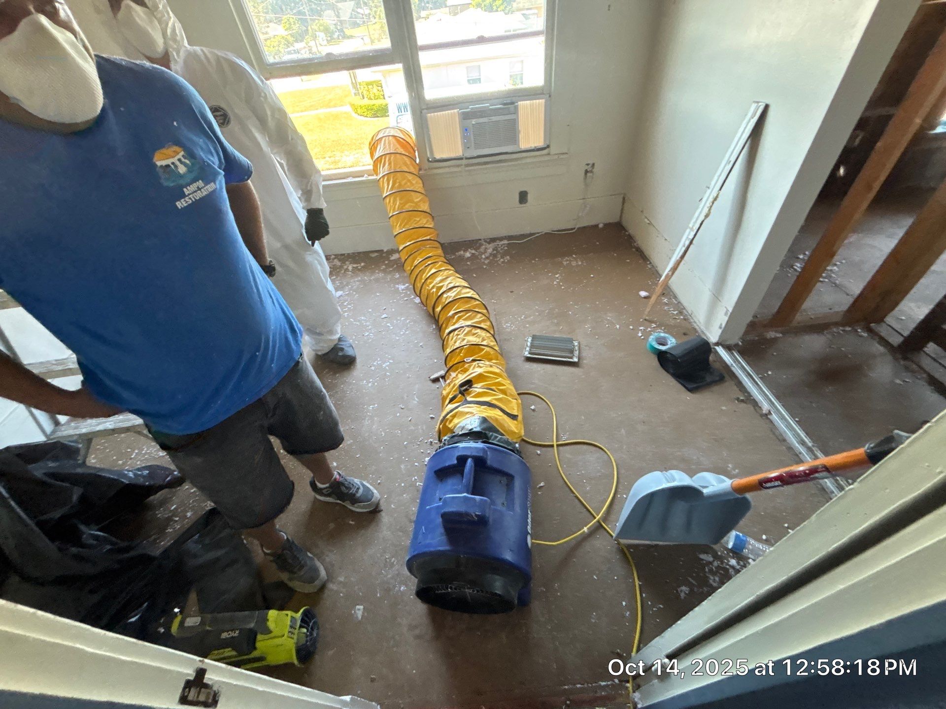 Mold Damage Inspection And Removal In Palmetto, FL by Ampm Restoration Services