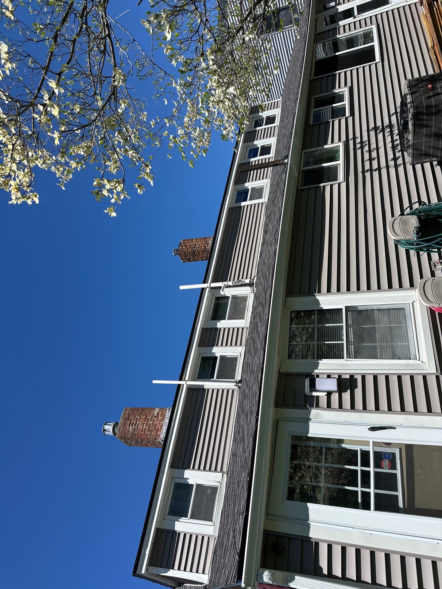 Roof Replacement with Owens Corning TruDefinition Shingles in Midnight Plum by Mighty Dog Roofing of Greater Middlesex County