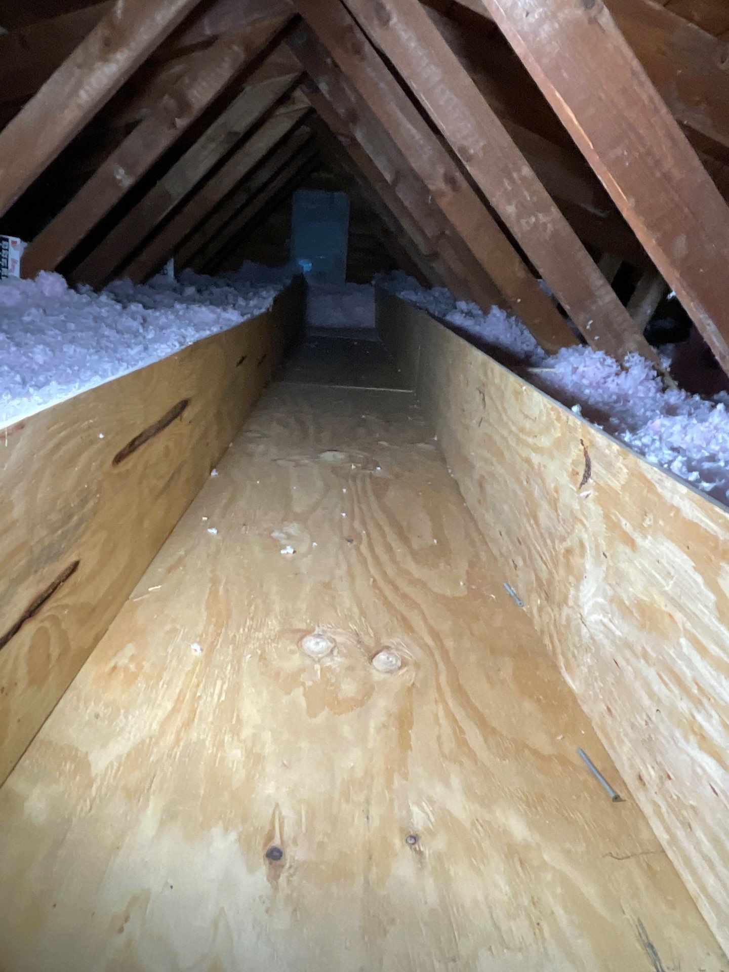 Project in Alexandria, VA by Founders Insulation