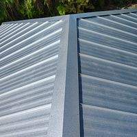 24ga 1" Nail-Strip Mill Finish by Total Roofing System The Metal Roof Experts
