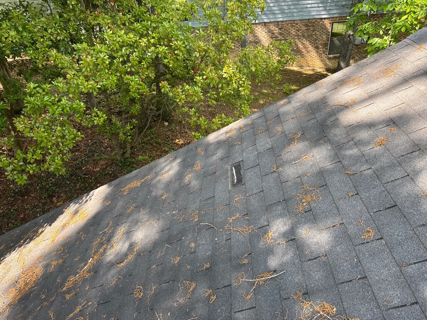 Project in Rocky Face by Aultman Roofing