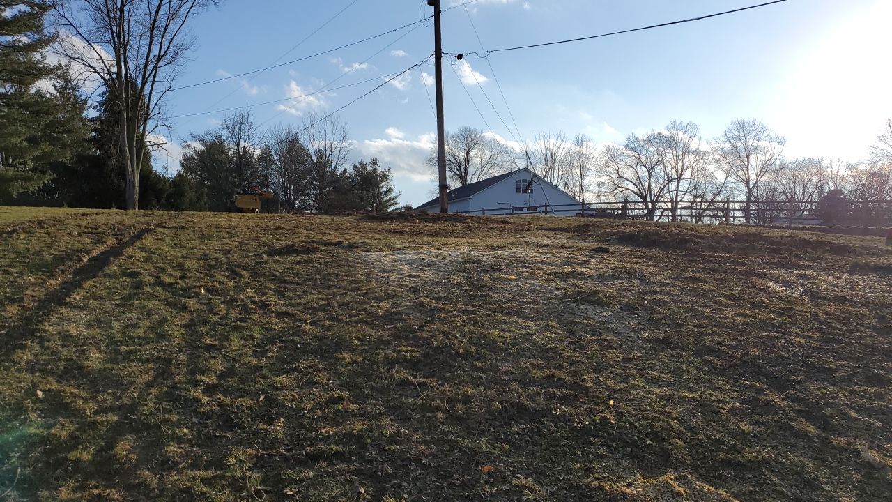 Tree Removal using Tree Removal by Mike Jones & Sons Tree Service LLC 