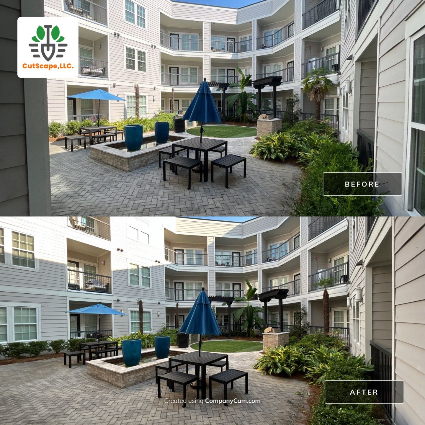 HEDGE TRIM / BED CLEAN using HEDGE TRIM LABOR by CutScape, LLC.