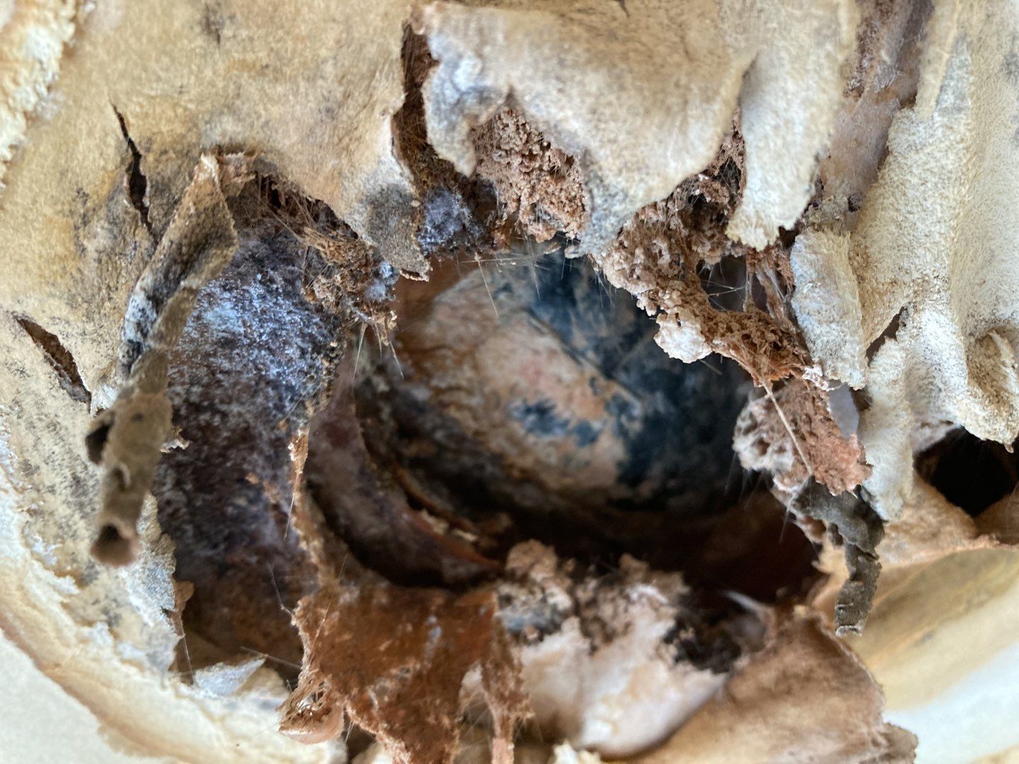 Water Damage in Garage by Accountable Home Services