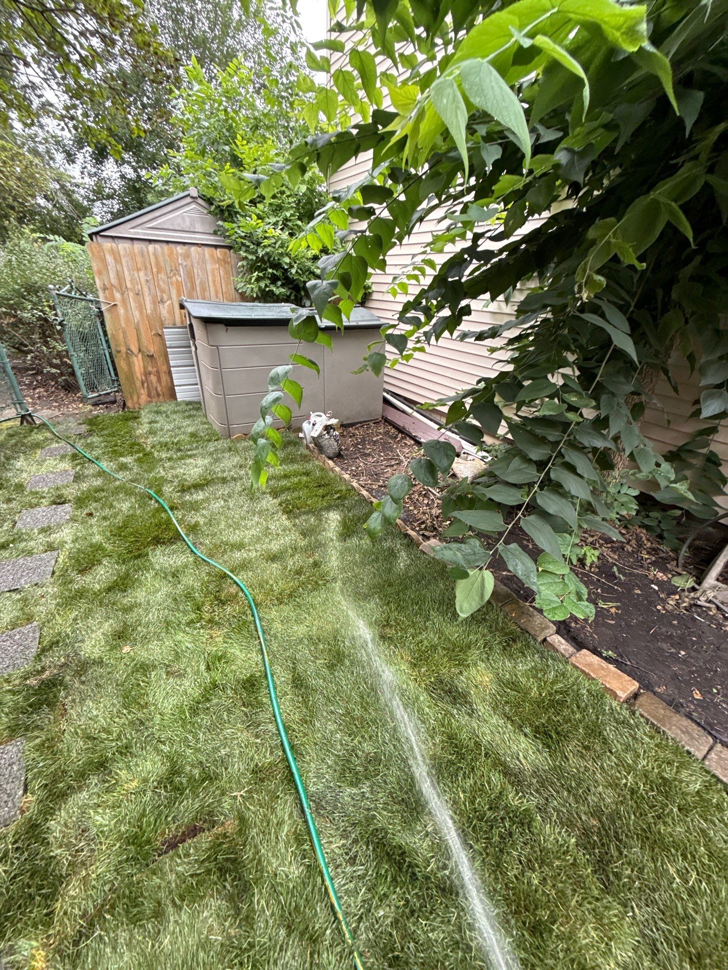 Helana M. - Mount Prospect, IL by A&N