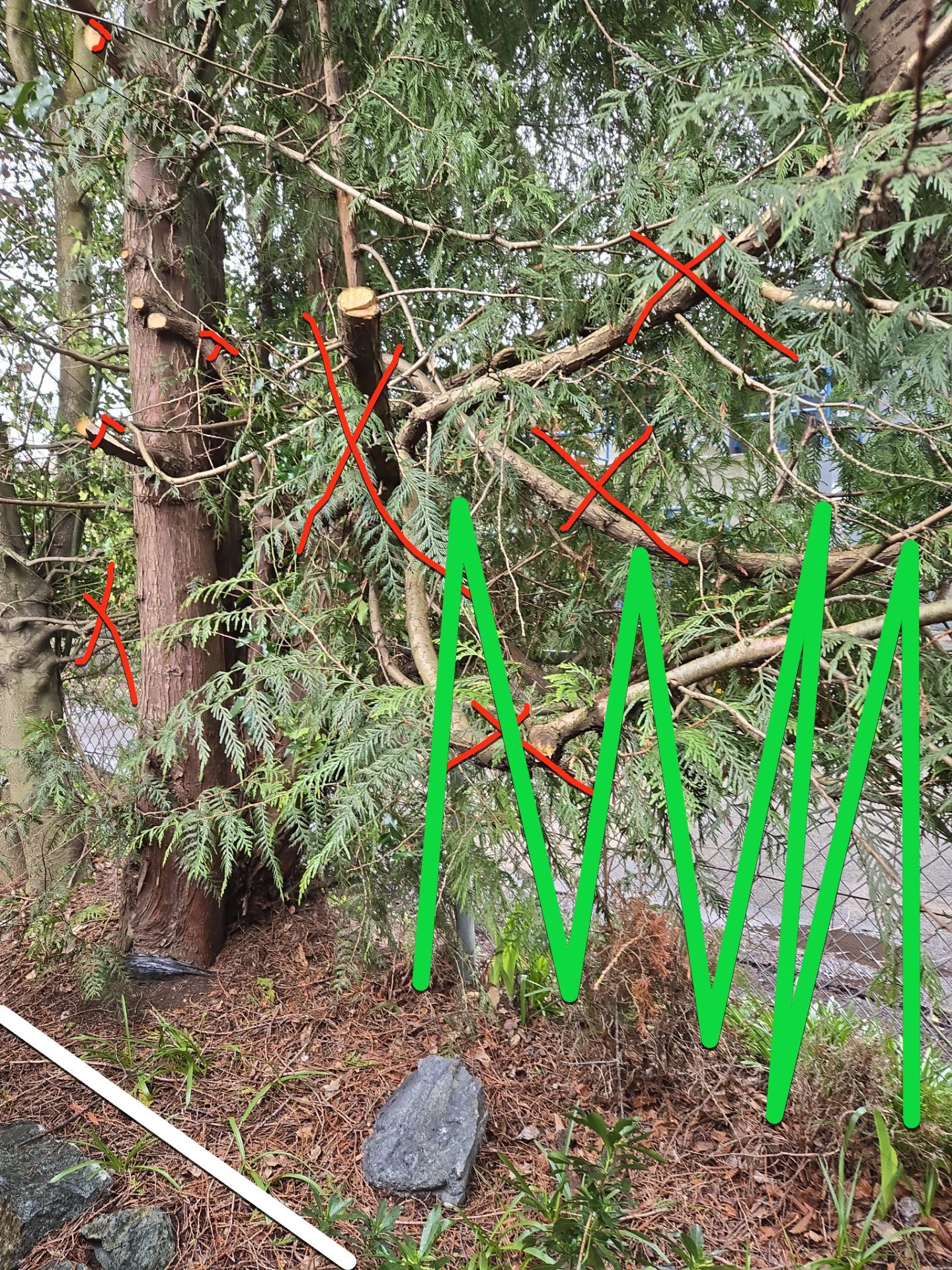 Complete backyard transformation by Habanero Garden and Exterior Care