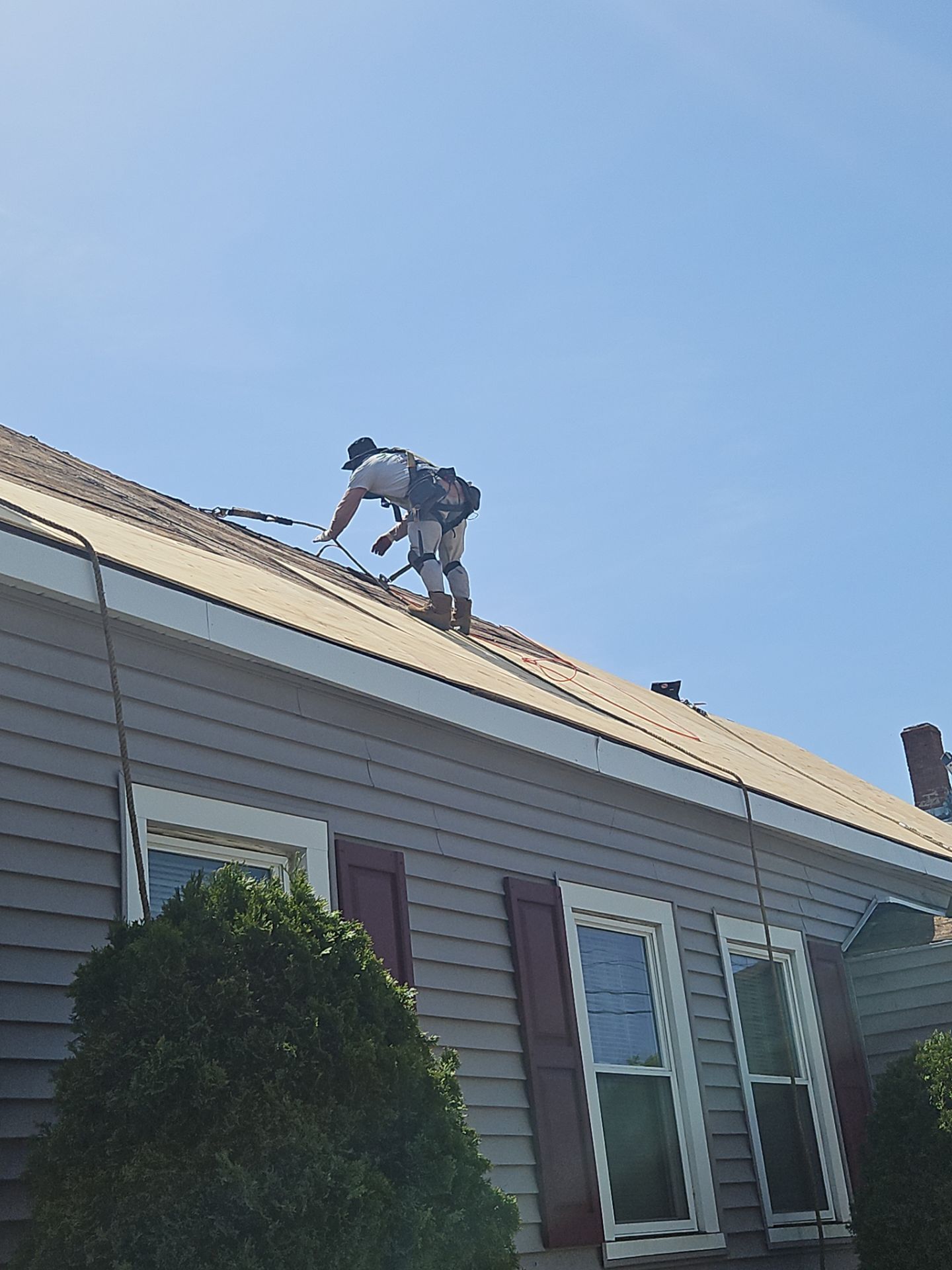 Roof Replacement with Owens Corning TruDefinition Shingles in Midnight Plum by Mighty Dog Roofing of Greater Middlesex County