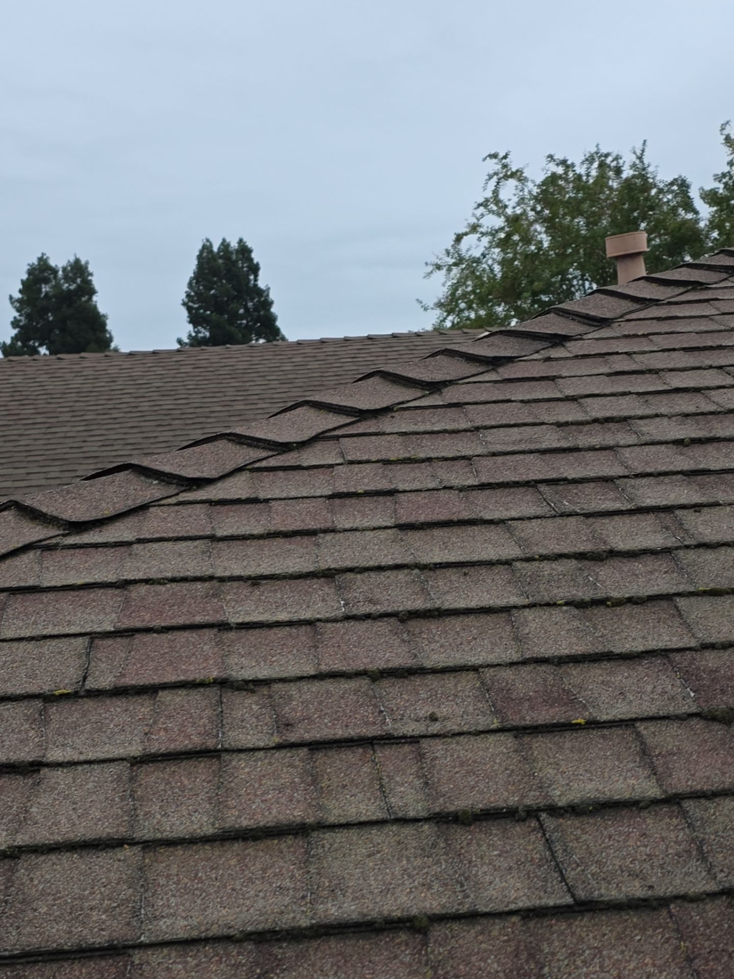 Roof Rejuvenation using Roof Maxx Treatment by Roof Maxx of Folsom