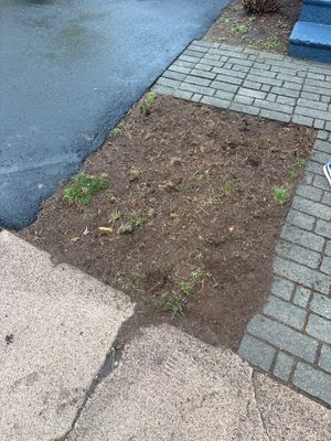 Starting Residential Site Preparation and Soil Tilling in Hamden