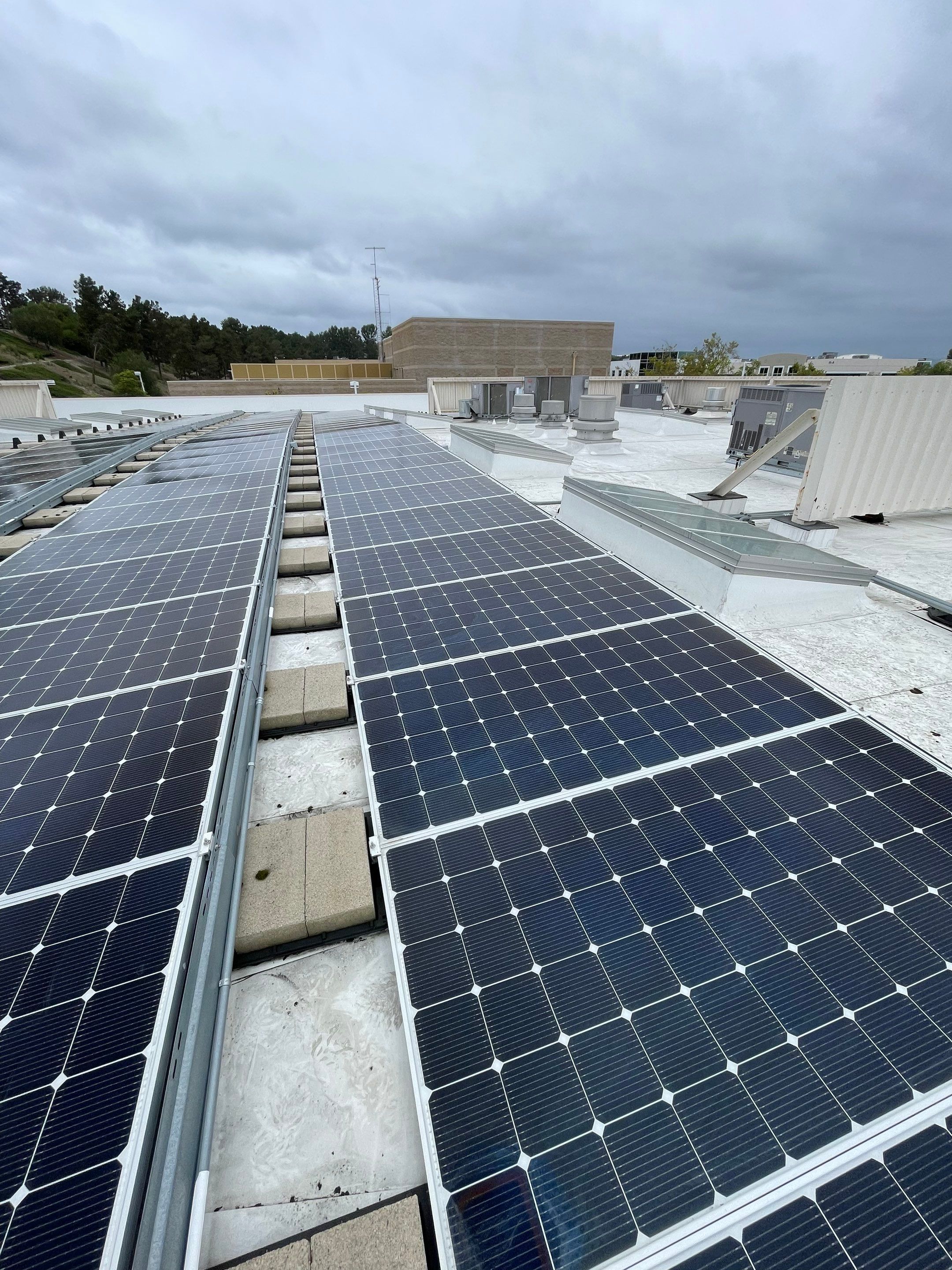 Commercial Solar Cleaning by Palm Coast Solar Cleaning