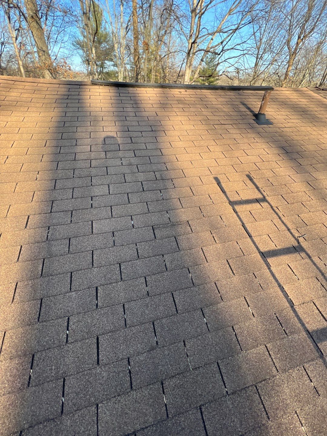 Springfield: CertainTeed Landmark Pro Designer Shingles in Max Def Pewterwood by RM Banning, Inc.