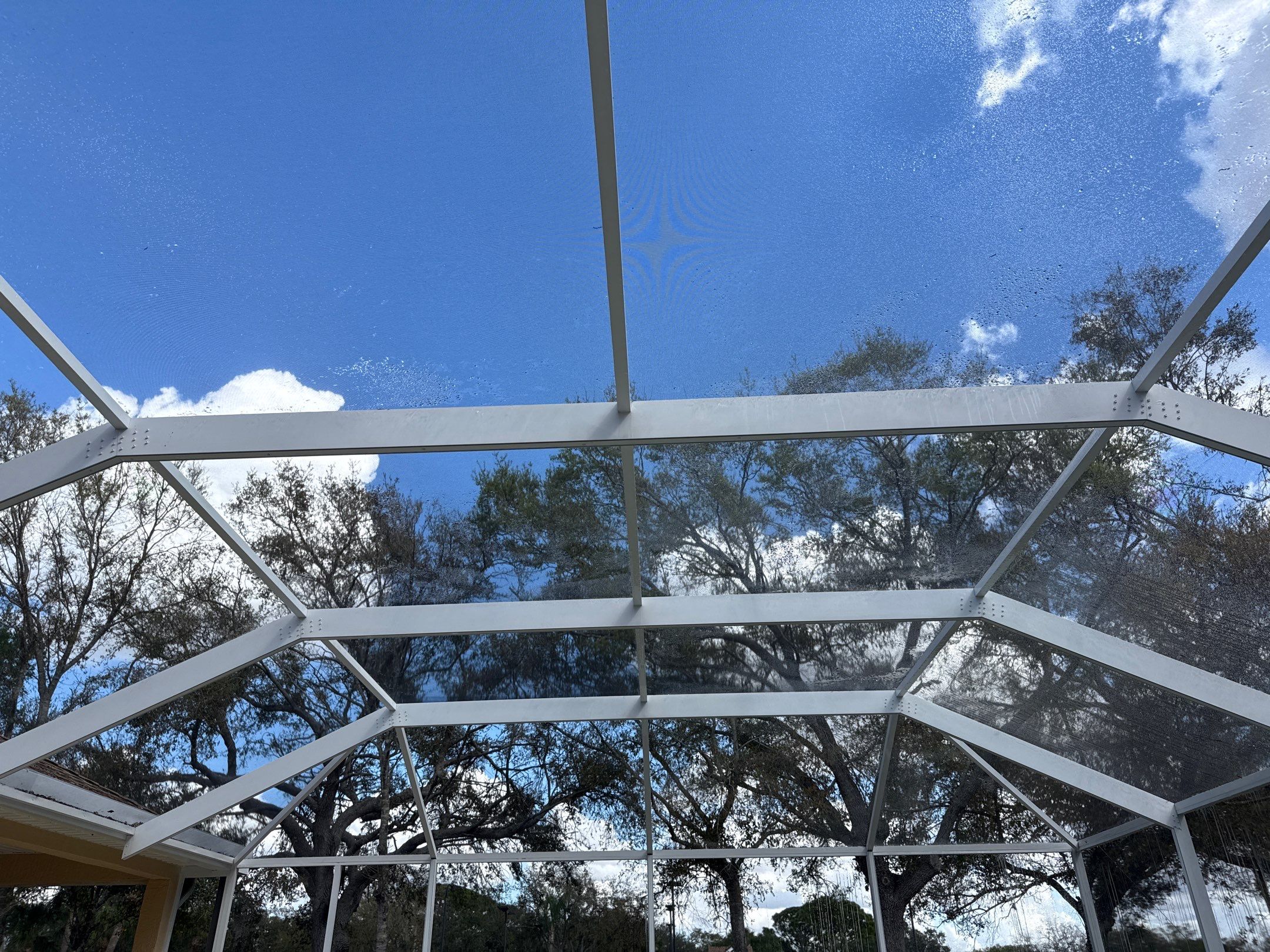 Painted Pool Deck, Pool Cage & Exterior Surface Cleaning in Creekwood – Bradenton, FL by Sunshine AquaWash