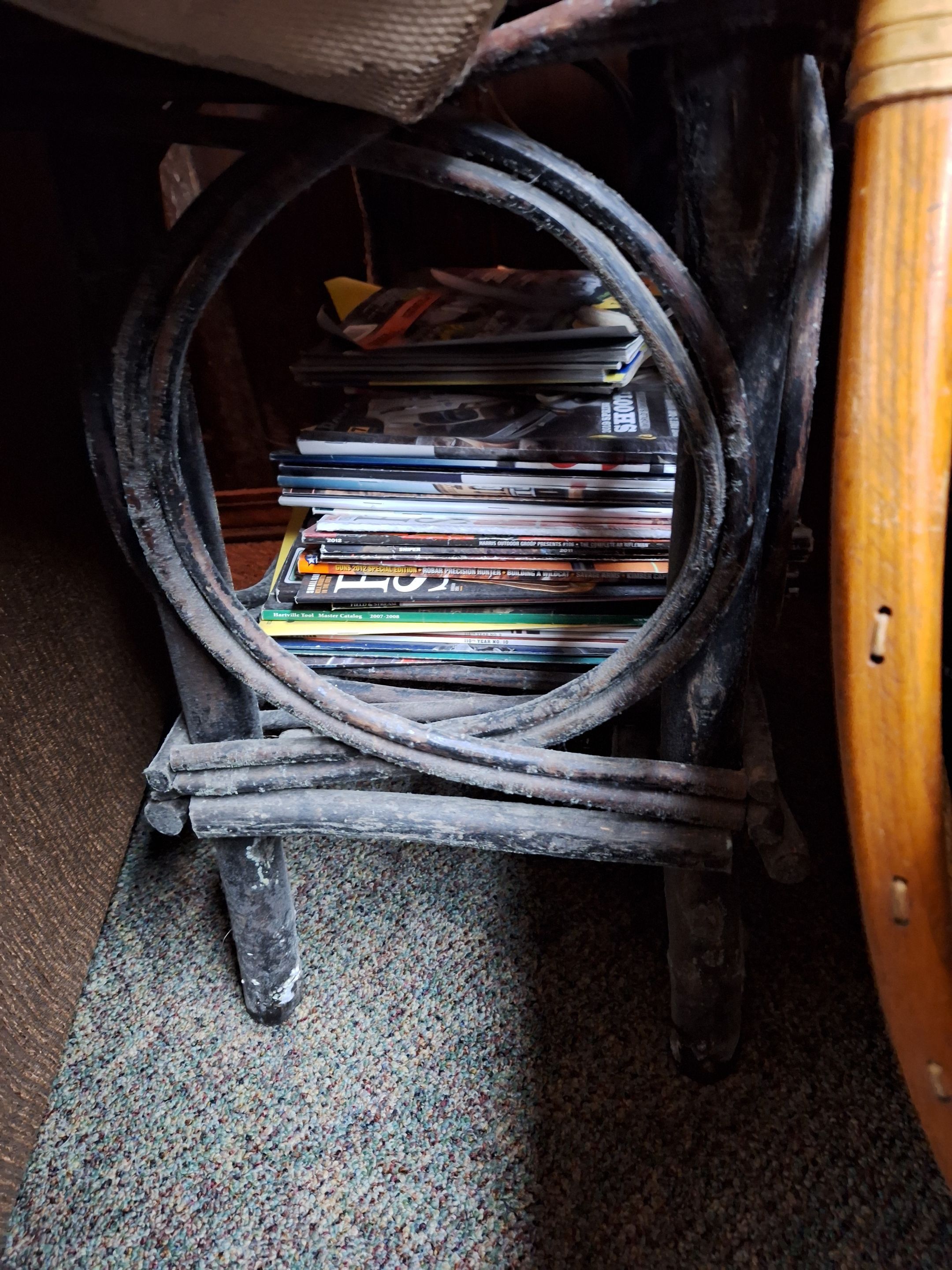 Basement Mold Remediation from Flooding by ANR Restoration