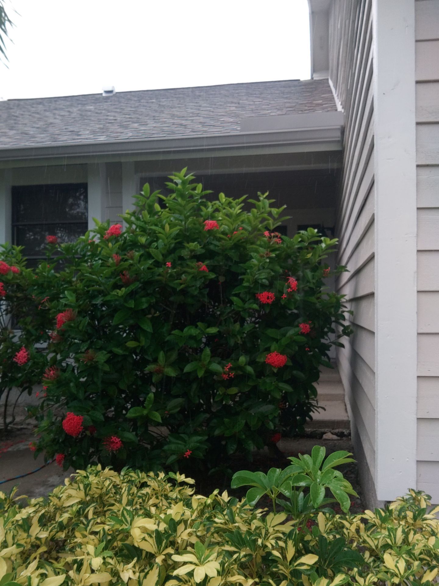 Splash Guards for Fort Myers Homes by Gutter Professors