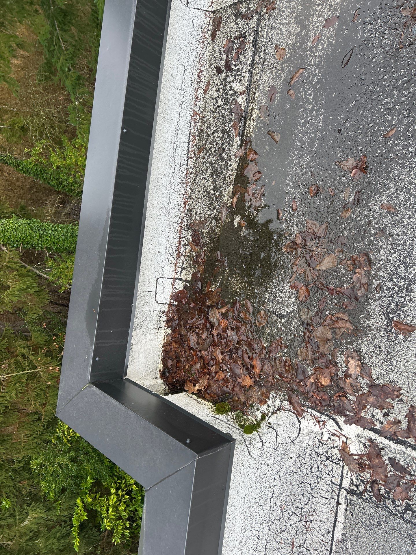 Project in Kirkland by Connolly Construction Company