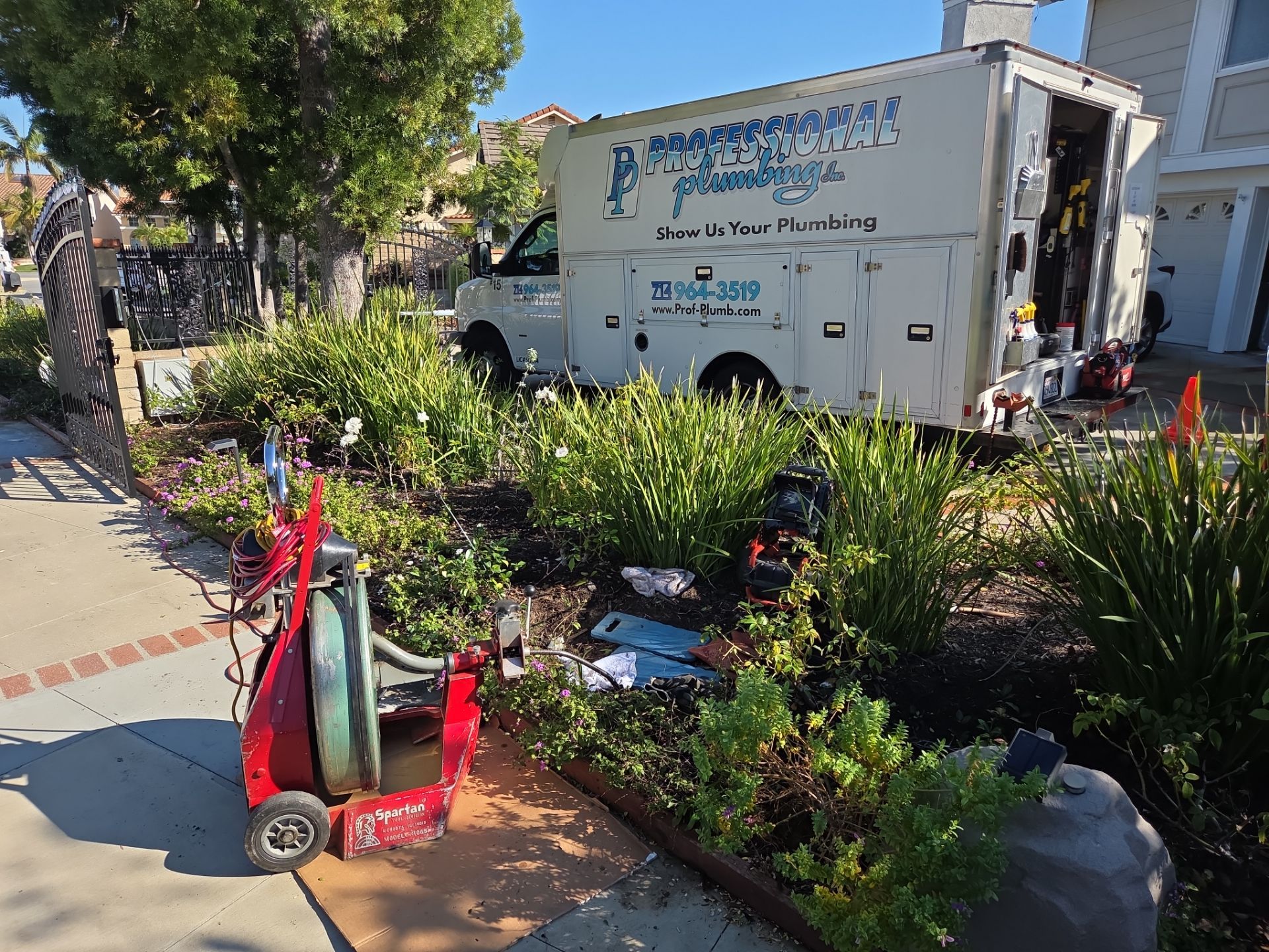 Area Drain Root Intrusion by Professional Plumbing Inc 