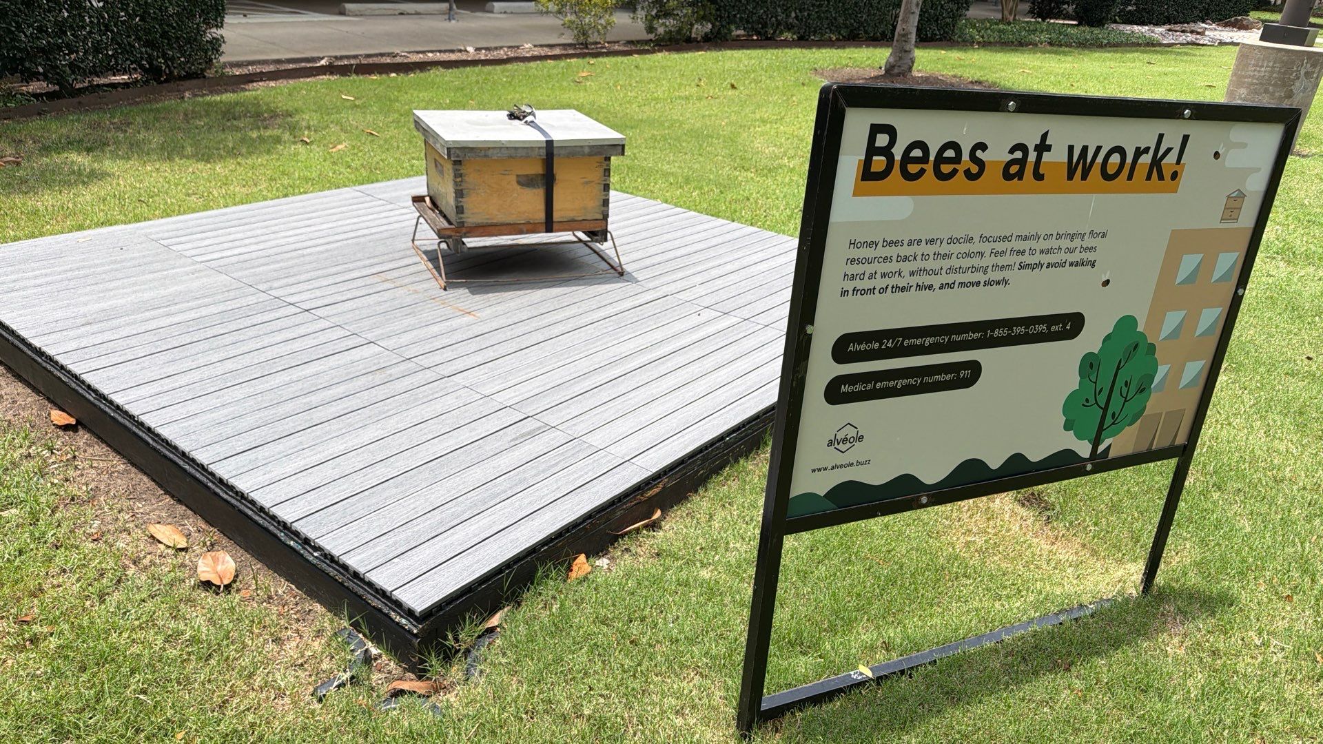 Platform Precious Population by Rockwall Honey Bee Company