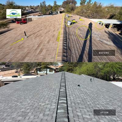 Silver Birch Shingles