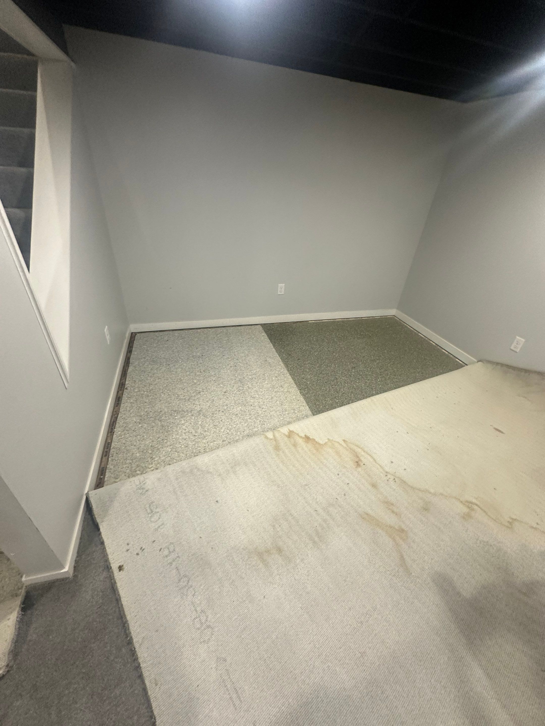 Basemen Oder removal with mold remediation and carpet pad replacement by BlueRed Restoration
