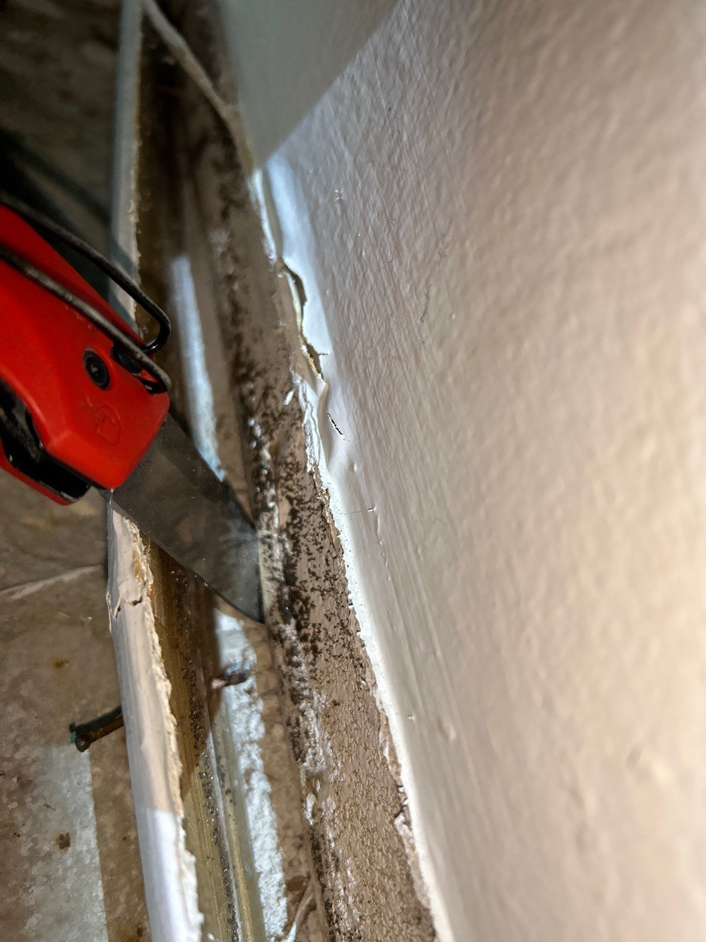 Mold Remediation In Sarasota by Ampm Restoration Services