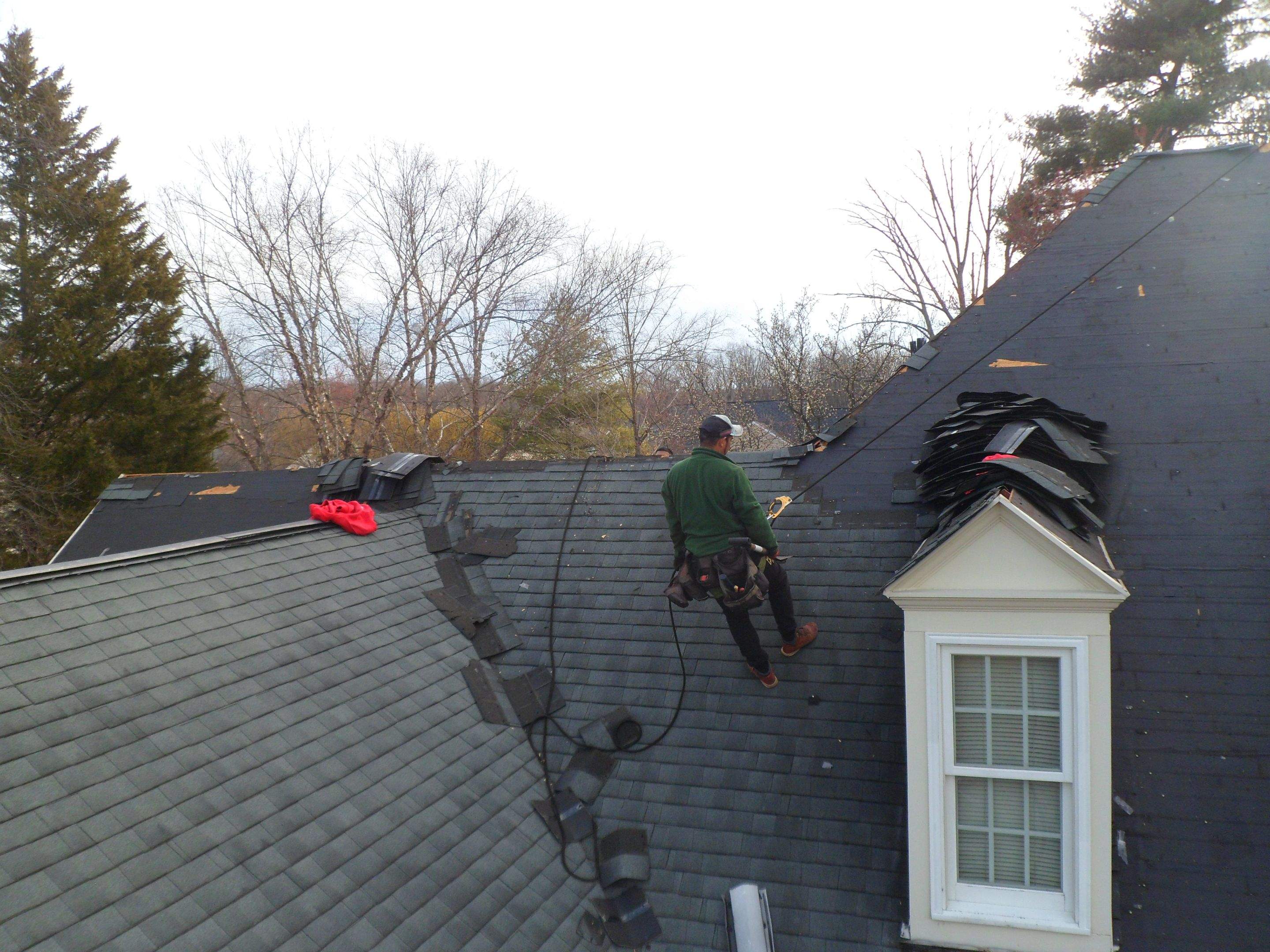 New Roof Installation & New Gutters and downspouts  by Alpha Design Services