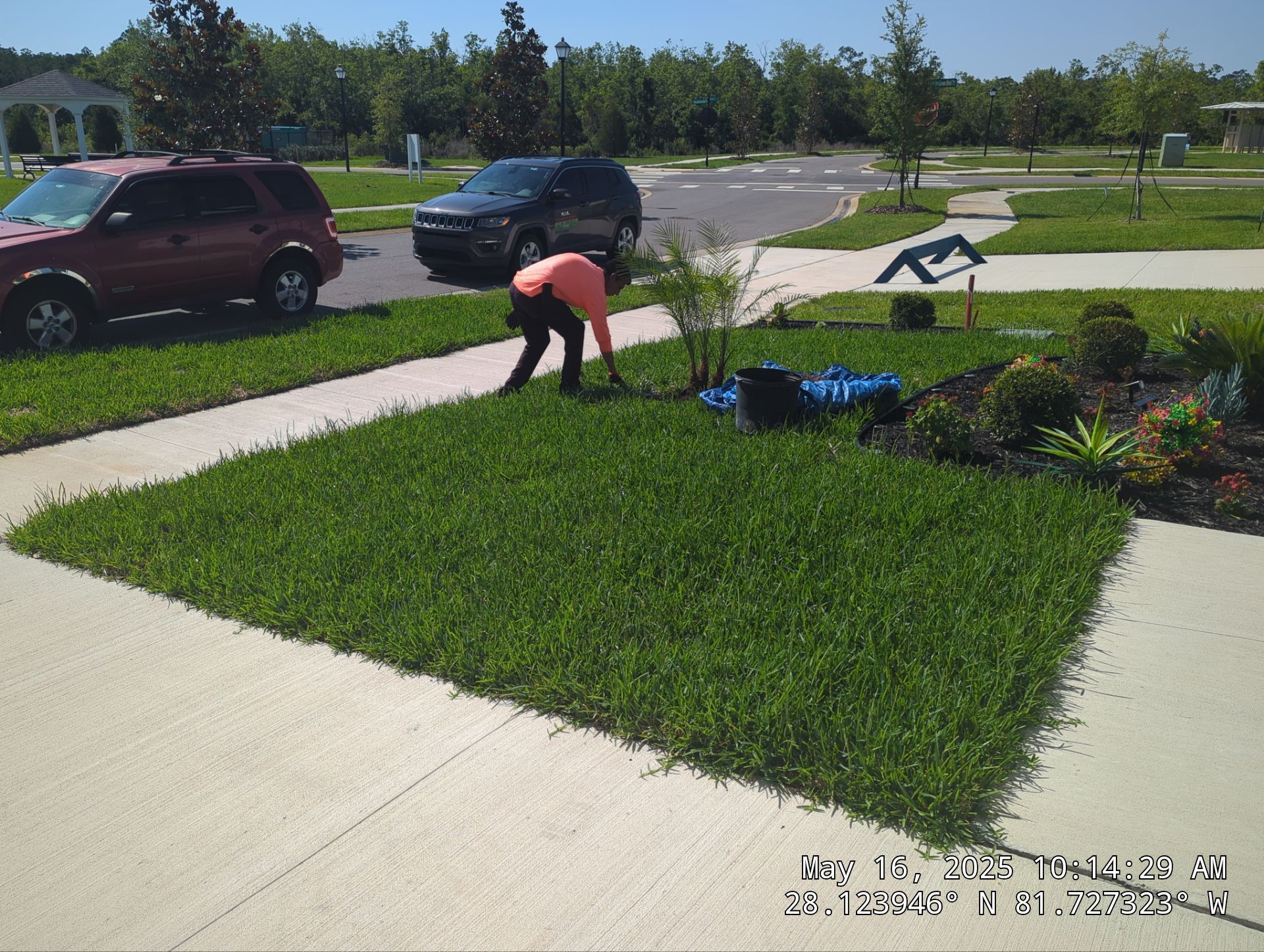 Complete Lawn Restoration with St. Augustine Sod by 
M.A.B. Landscaping & Property Maintenance