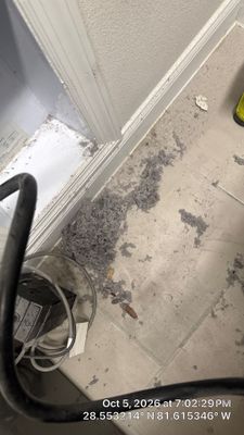 Dryer Vent Cleaning & Heavy Lint Removal in Winter Garden