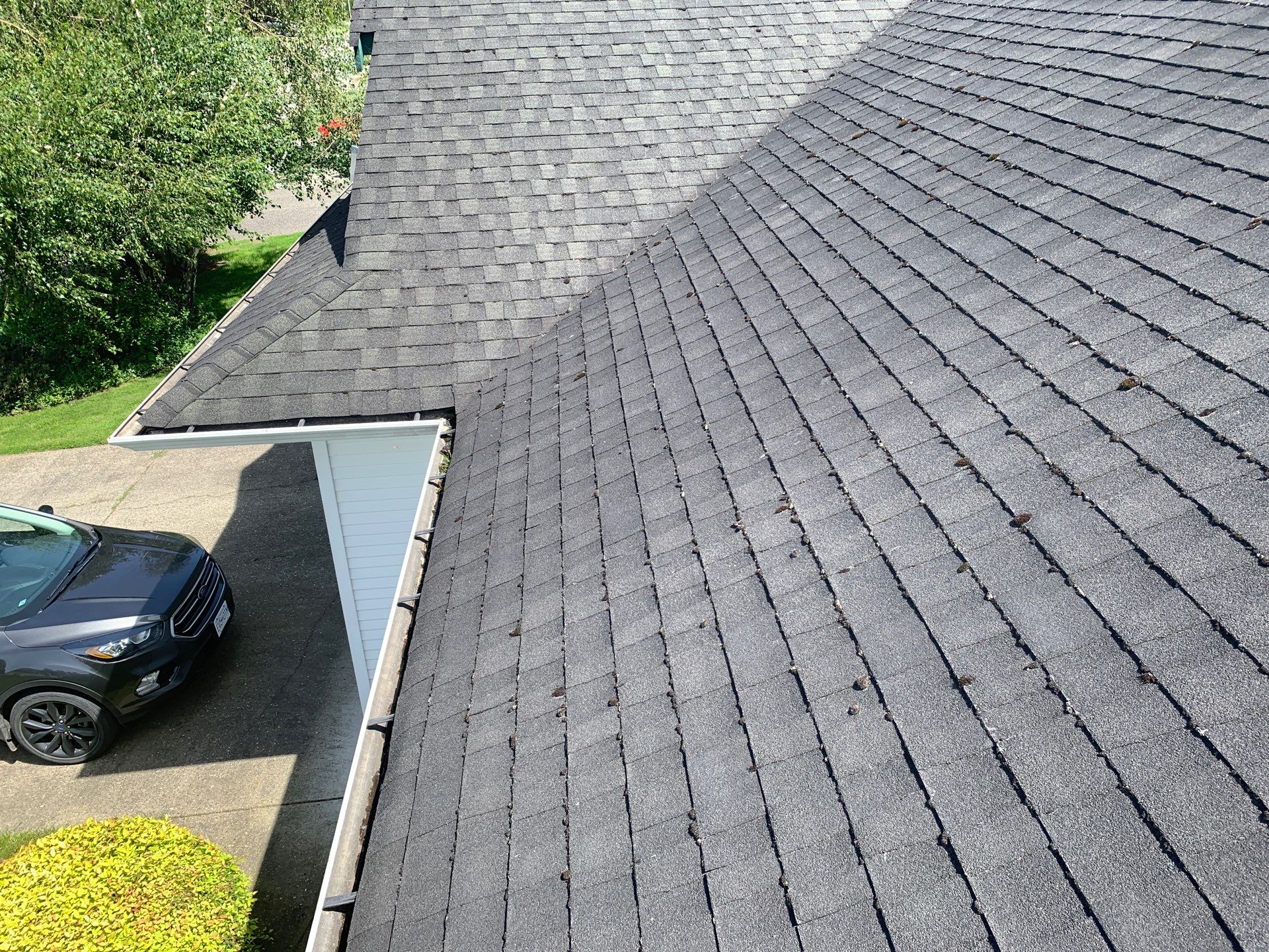 Residential Reroof Shingle by Top Notch Roofing Inc