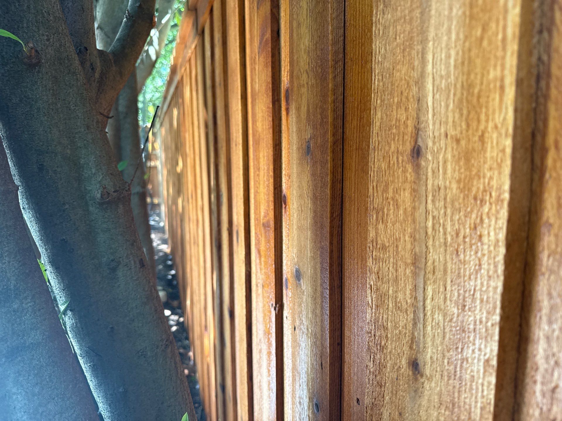 Cedar Privacy Fence Stain in Round Rock by Rhino Home Care
