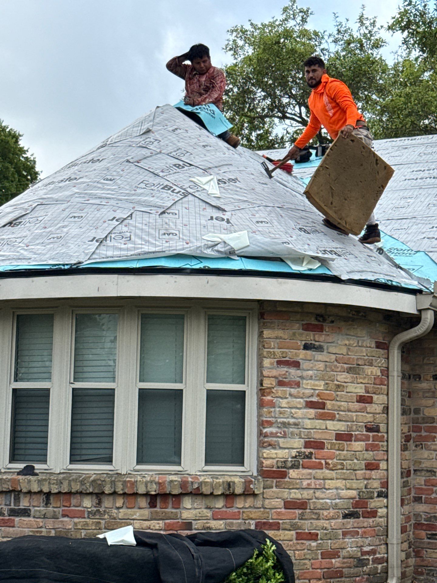 ADAM J by Boss Hogg Roofing