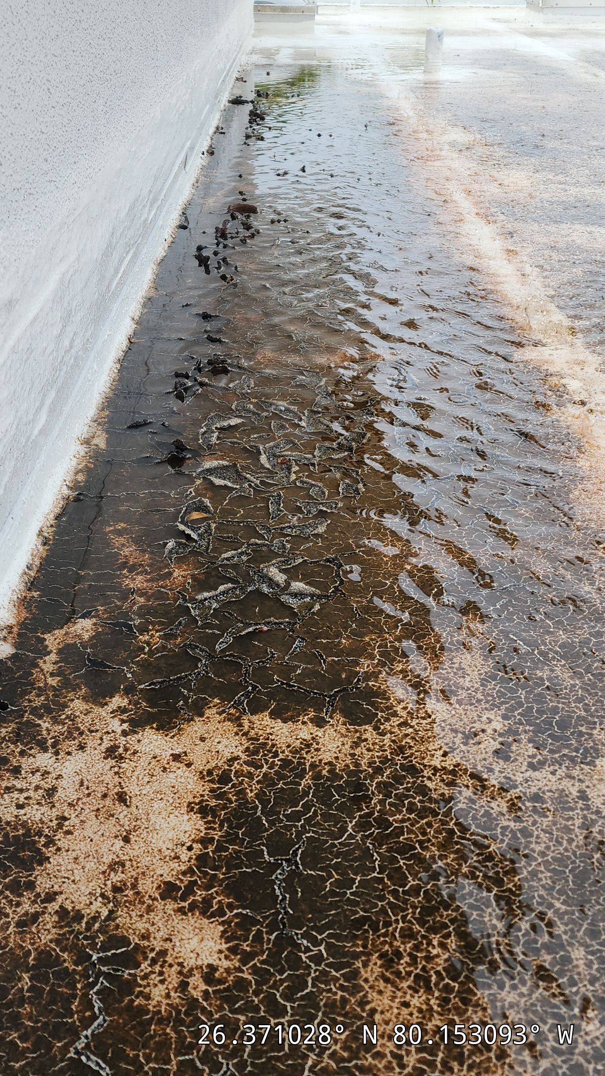 Flat Roof Restoration and Silicone Coating in Boca Raton by Aastro Roofing