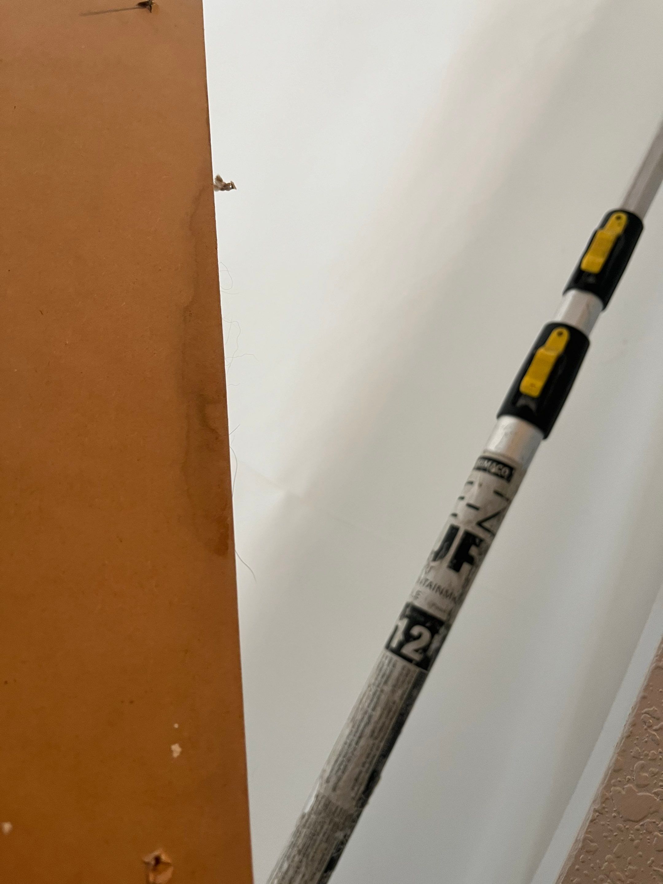 Mold Remediation in Denver, CO by Alpha Restoration 