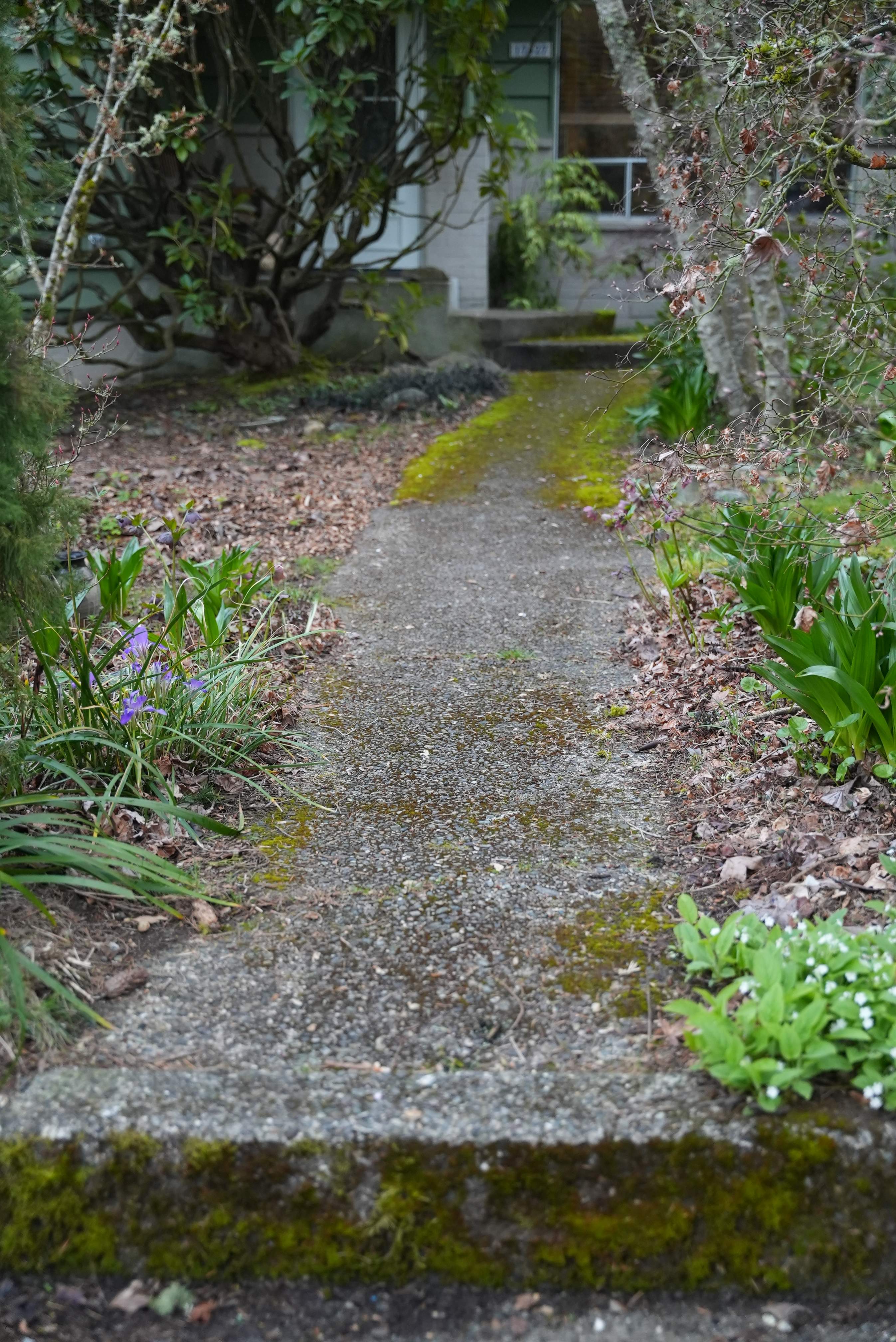 Pavers Driveway & Walkway with Concrete Lip | Seattle  by Jireh Asphalt & Concrete Inc 