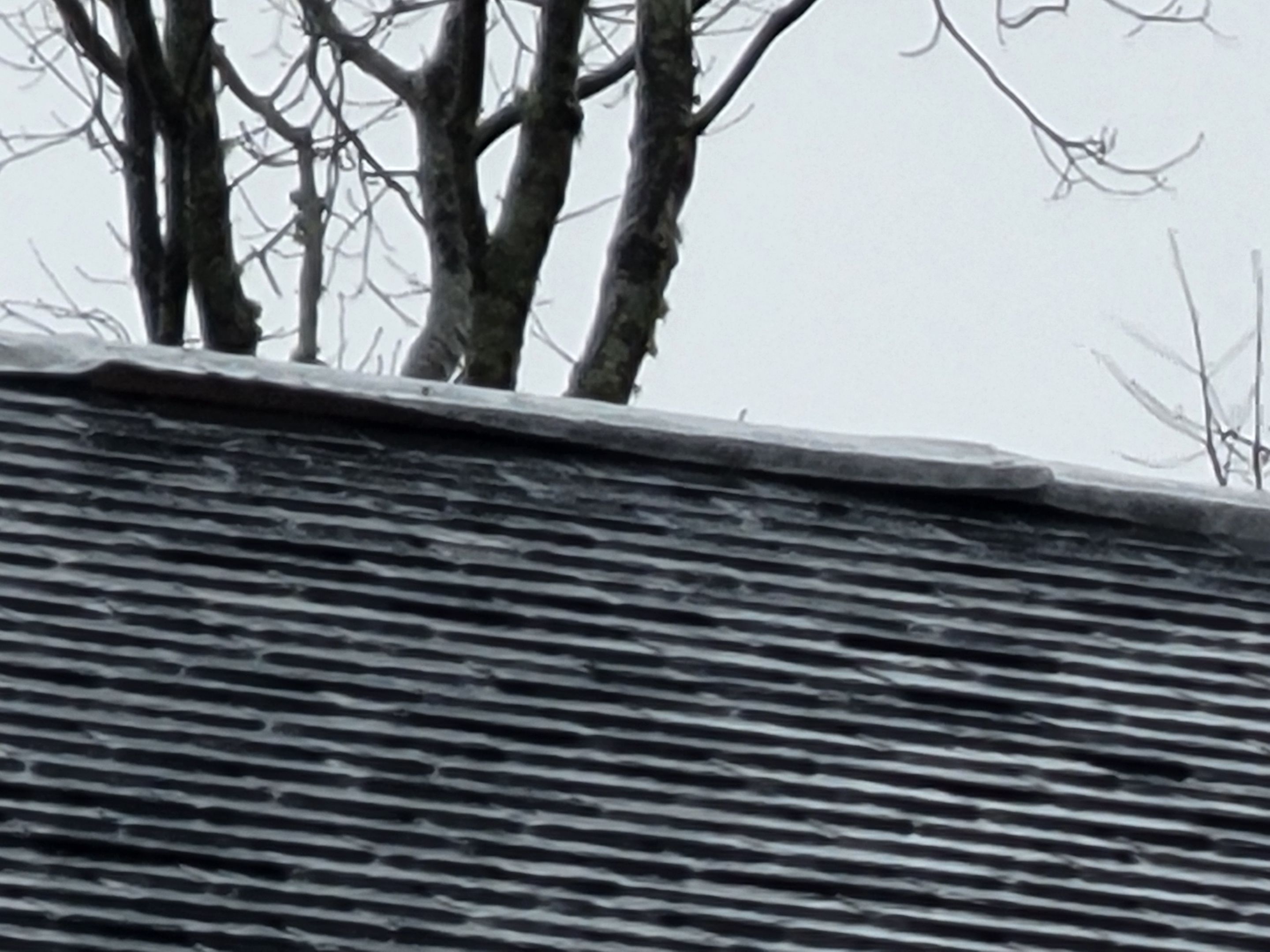 Slate Roof Repair using All Natrual Slate Tiles by The B.A.R Roofing