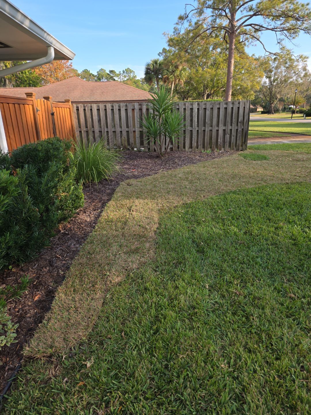 Deerwood Resident | Winter Sod Replacement by ProGreen Services