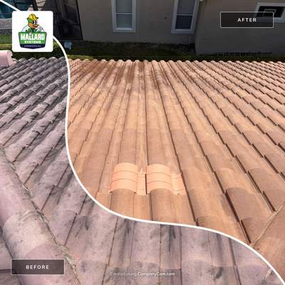 Barrel Tile Roof Cleaning