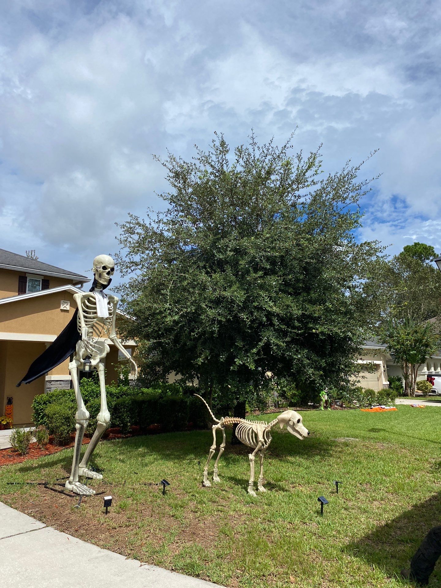 Property Clean Up | Residential by ProGreen Services