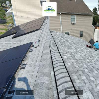 Silver Birch Shingles