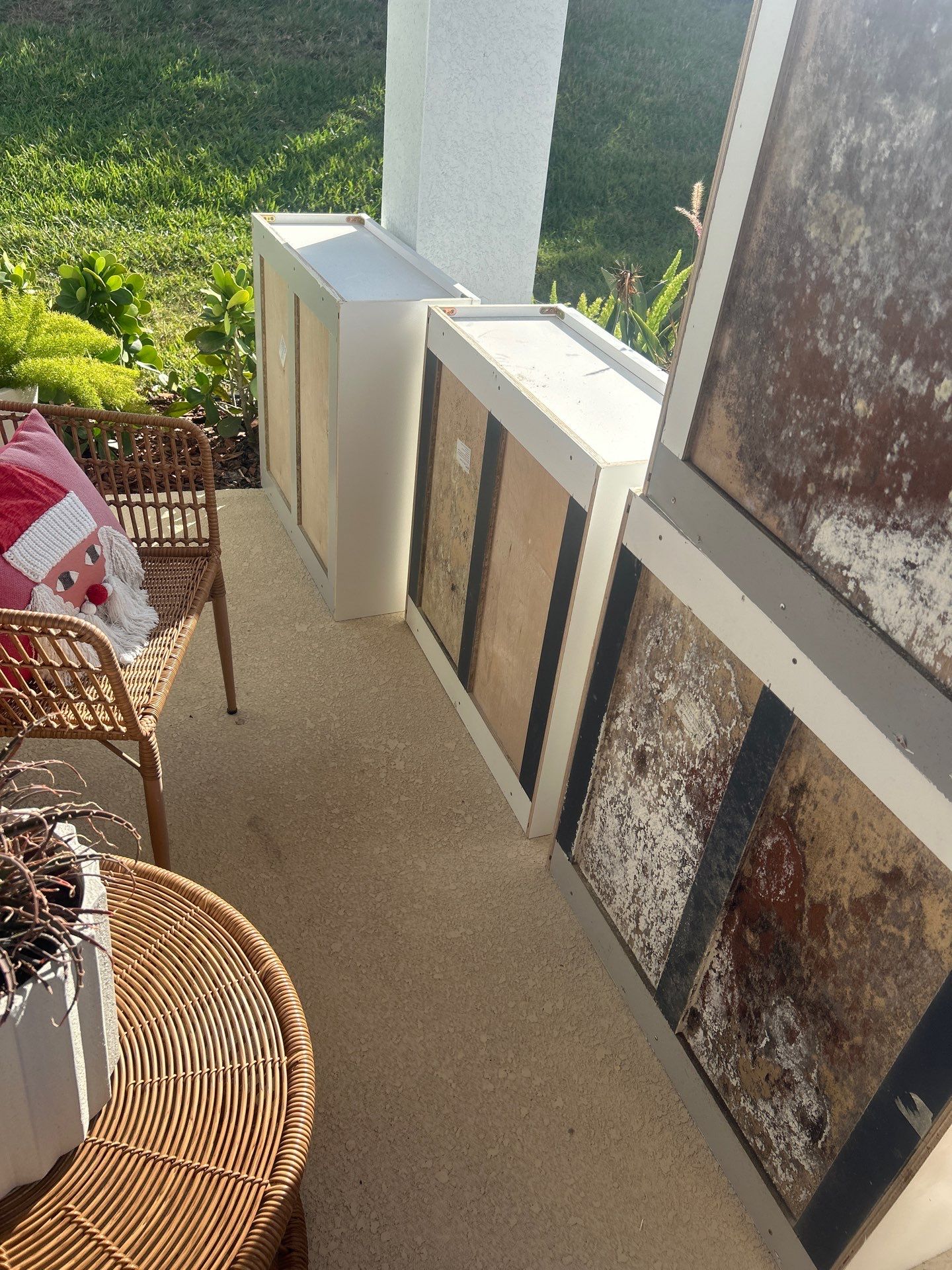 Mold Removal In Bradenton FL by Ampm Restoration Services