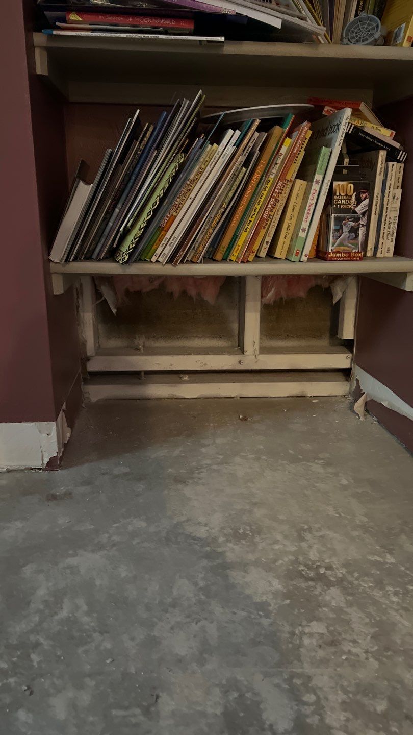 Water Damage and Mold Remediation by Accountable Home Services