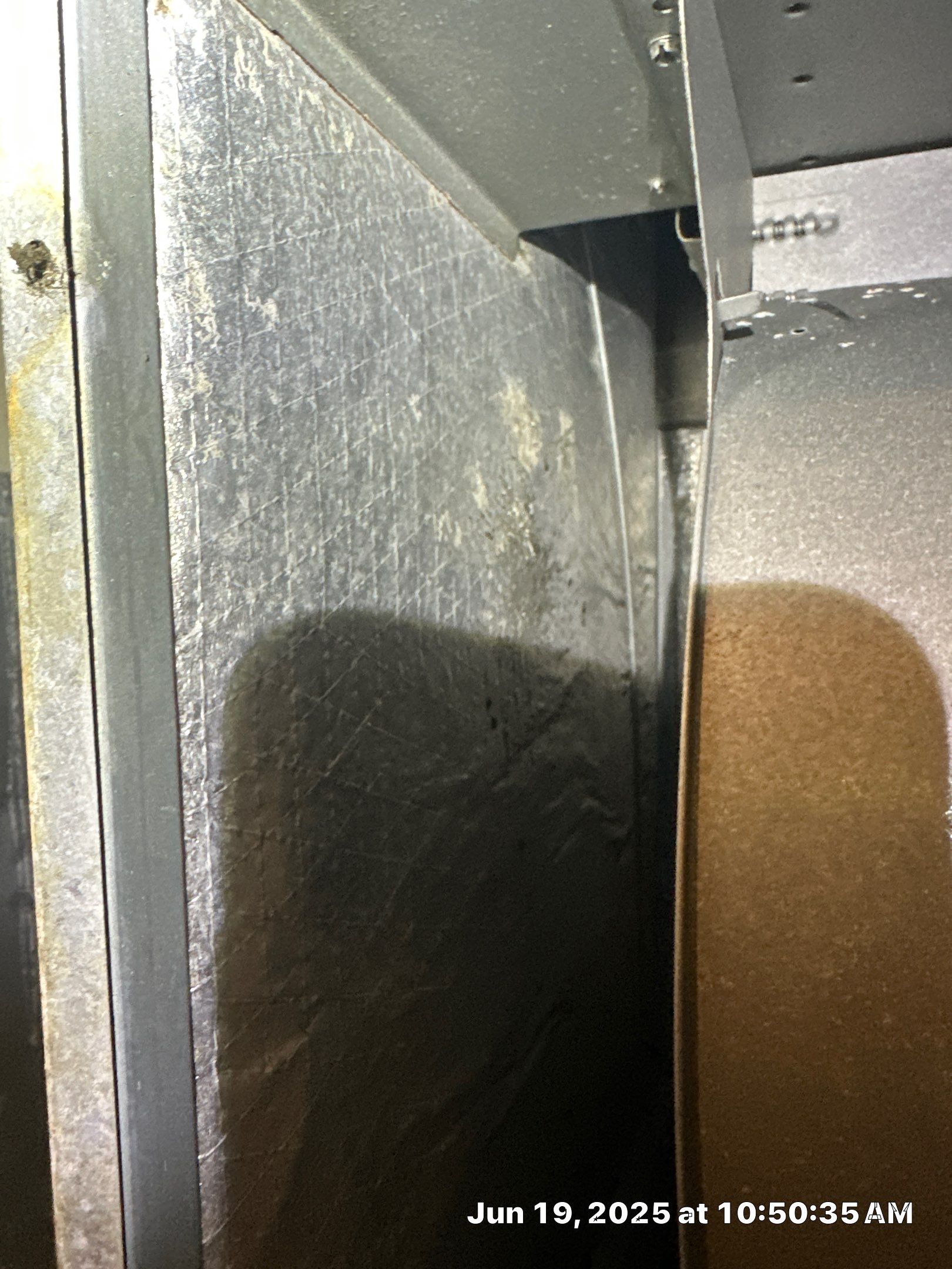 Mold Assessment in Sarasota on a rental home by Building performance Solutions LLC