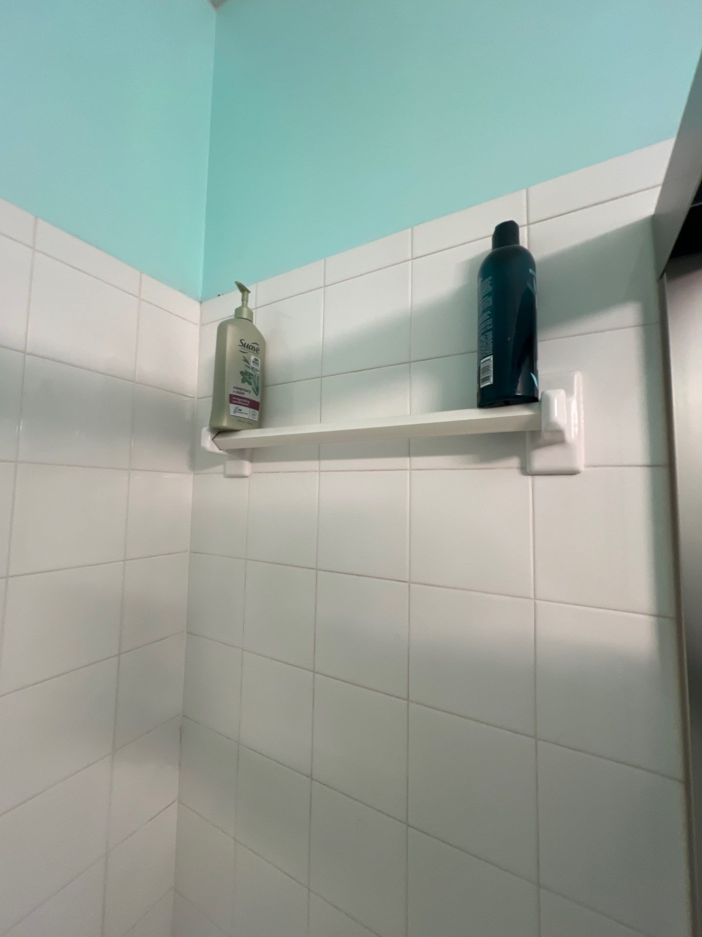 Bathroom Remodel using Onyx by The Shower Company