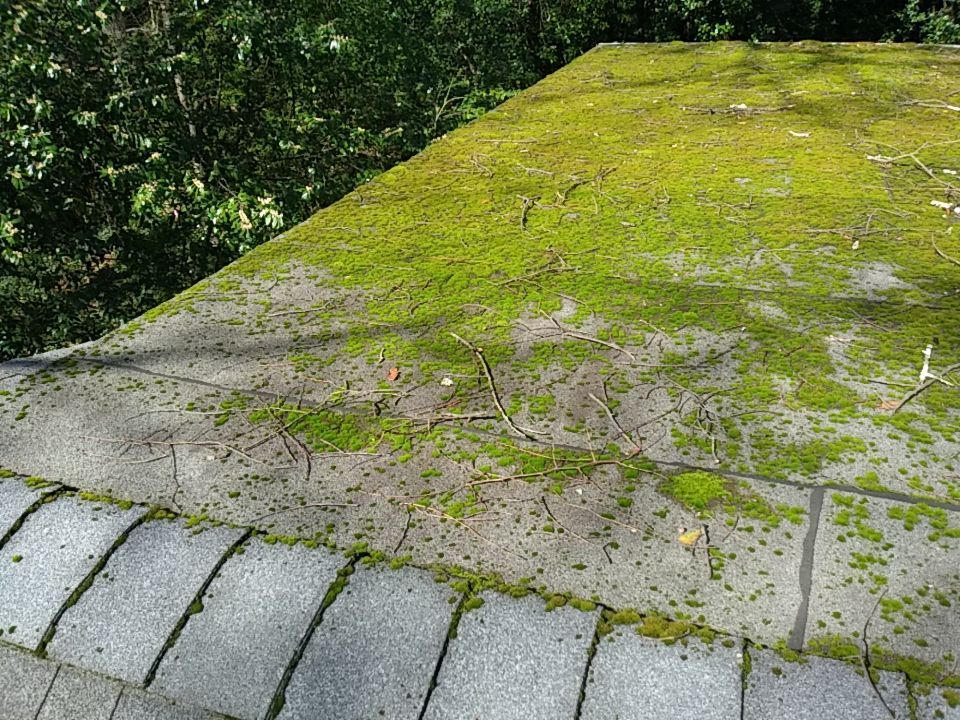 Resolving Leaks and Moss Growth by Georgia Roof Advisors