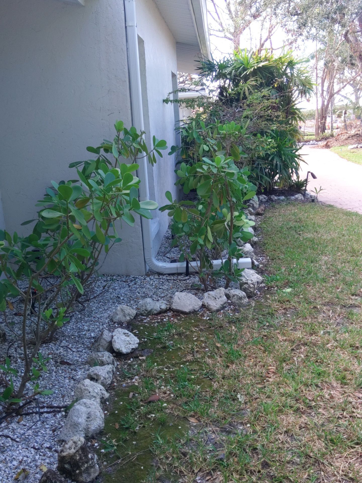 Custom Color Gutter Solutions in Sarasota FL by Gutter Professors