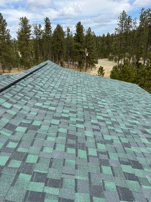 Shingle Installation in Rochford
