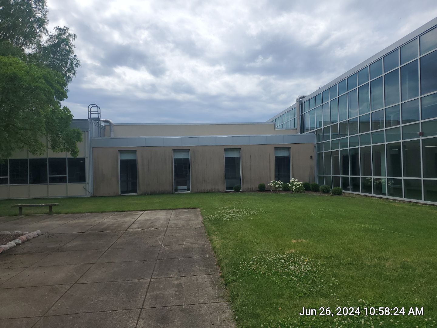 concrete using Algaecide, soft wash soap by Northern Power Washing LLC.